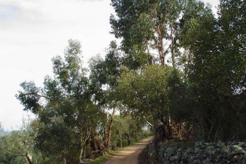 Casa En El Pantano De Orellana