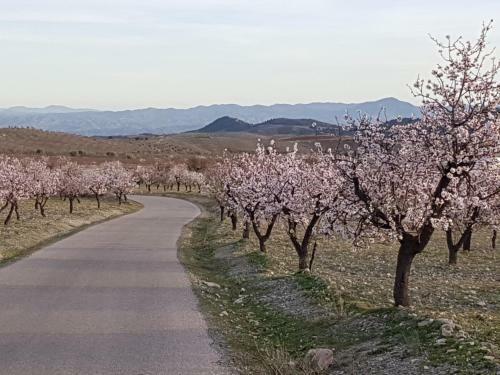Immaculate 2-bed 2-bathroom Casa In Oria Almeria