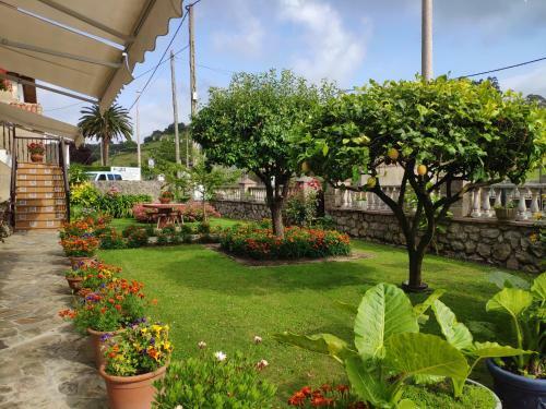 Apartamentos El Calleju