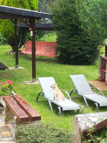 Agroturismo La Chimenea Cantabra