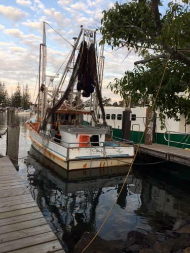 Apartamento Brunswick Heads Treetop Studio