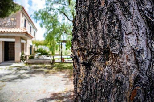 Agroturismo Caser�o Lo Bulle