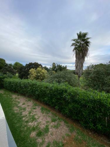 Apartamento Oasis Hoyo 12 - Oliva Nova Playa Met&golf
