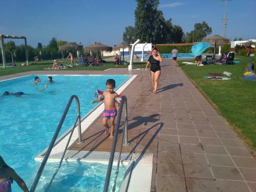 Lujoso Apartamento En Oliva