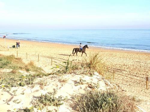 Apartamento Con Piscina Frente Al Mar. Oliva Nova