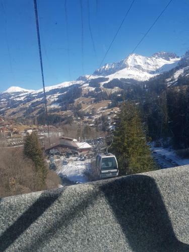 Apartamento Chalet Gr�neggli