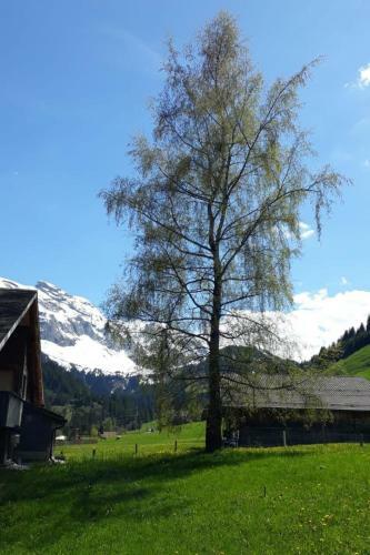 Apartment Stockbrun�