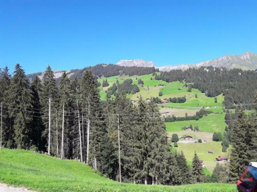 Bed & Breakfast Ferien In Der Bergwelt Von Adelboden