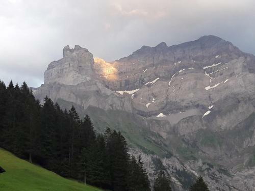 Bed & Breakfast Ferien In Der Bergwelt Von Adelboden