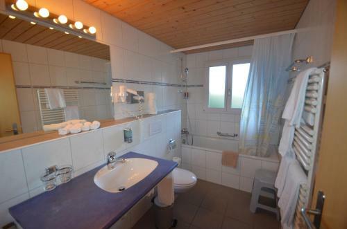 Apartamento Ferienwohnungen Hotel Alpina
