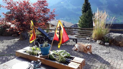 Apartamento Chalet Gotthelf Gartenstudio, Ferien Mit Hund