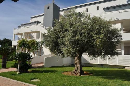 Apartamento Met&golf Oliva Nova Beach Jardin
