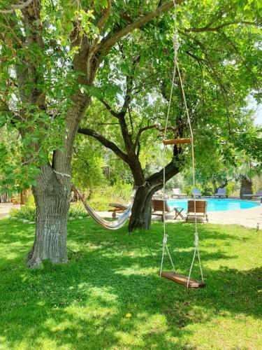 Hotel Kaliyoga Retreats