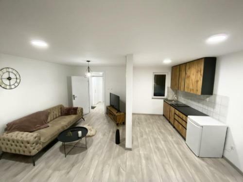 Modern Lux Apartment