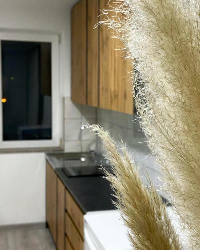 Modern Lux Apartment