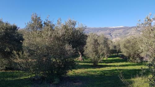 Hostal Gateway To The Alpujarras, 'cortijo Derry'