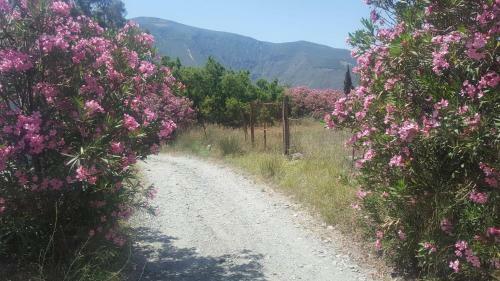 Hostal Gateway To The Alpujarras, 'cortijo Derry'