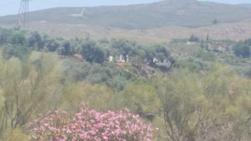Hostal Gateway To The Alpujarras, 'cortijo Derry'