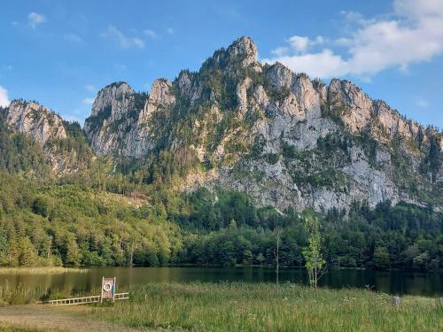 Neues Traunsee Apartment Altm�nster