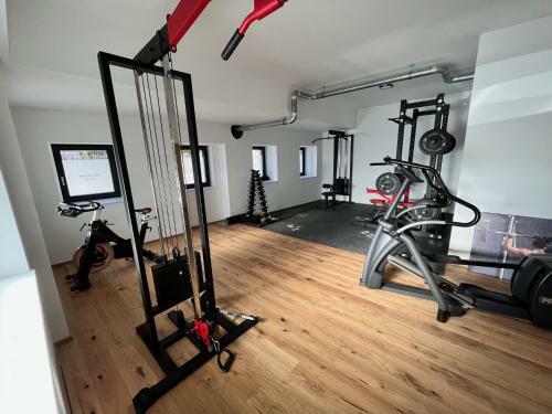 Neues Traunsee Apartment Altm�nster