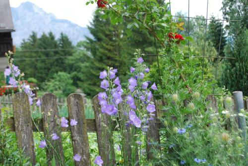 Agroturismo Bauernhof "unteres Feld"