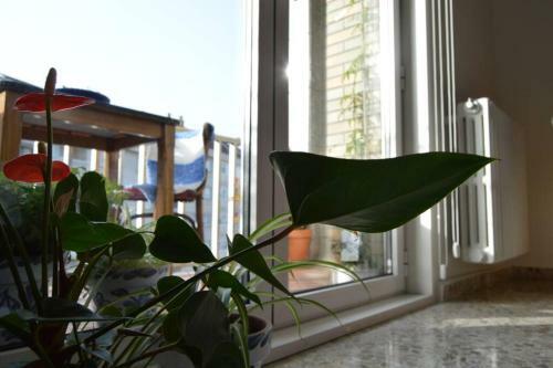 Downtown Apartment (125 M�)