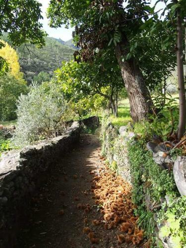 La Chocita De Tio Castor