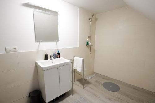 Apartamento Grogo Duplex Appartment(centre Of Antwerp)