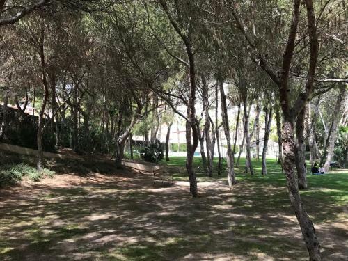 Apartamento Vista Al Mar