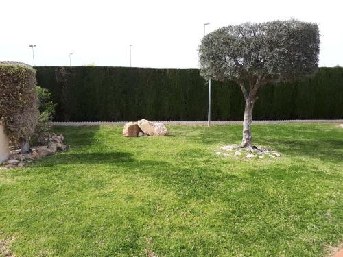 Apartamento Spanische Bungalow In Kurort