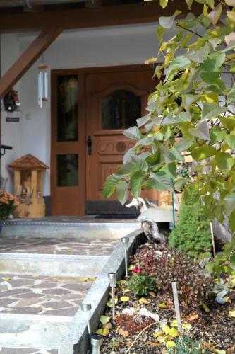 Hostal Haus Antonia