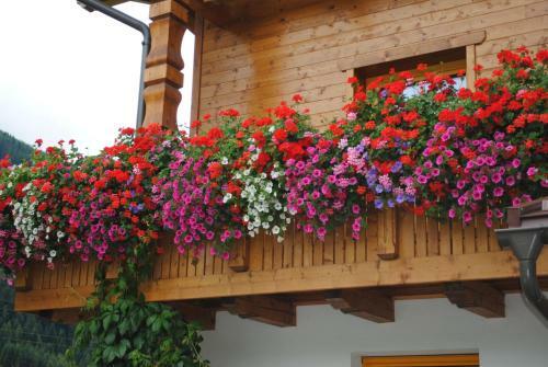 Apartamento Haus Untergand