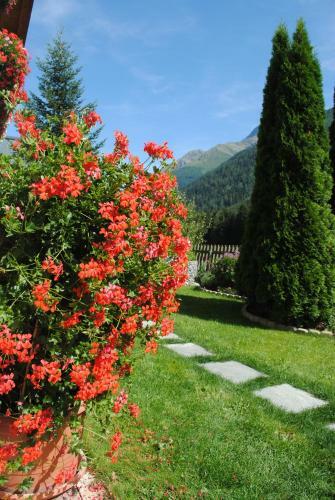 Apartamento Haus Untergand