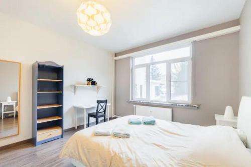 Tomorrowland Antwerp Apartment Incl Daily Transport
