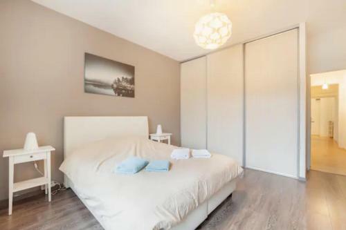 Tomorrowland Antwerp Apartment Incl Daily Transport