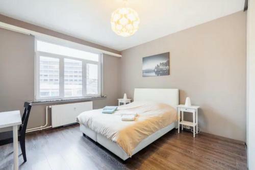 Tomorrowland Antwerp Apartment Incl Daily Transport
