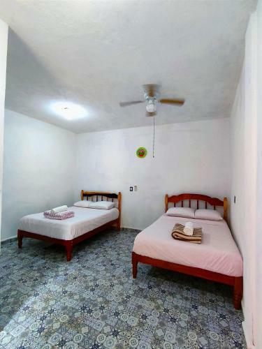 Hostal Casa Coral