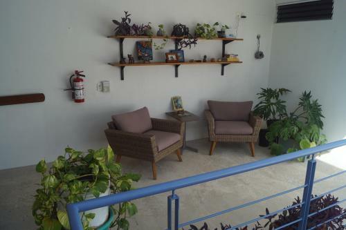 Bed & Breakfast Gran Jaguar Hotel