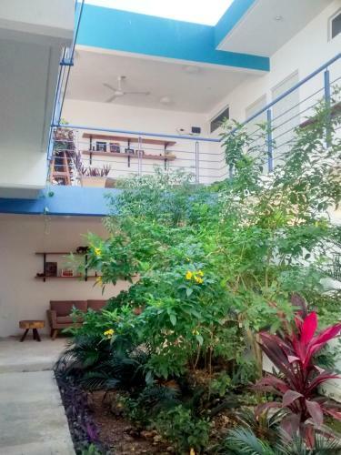 Bed & Breakfast Gran Jaguar Hotel