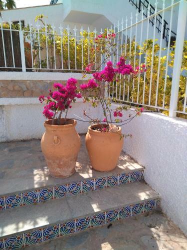 Apartamento Romero Cabo Roig, Sol�rium Opcional