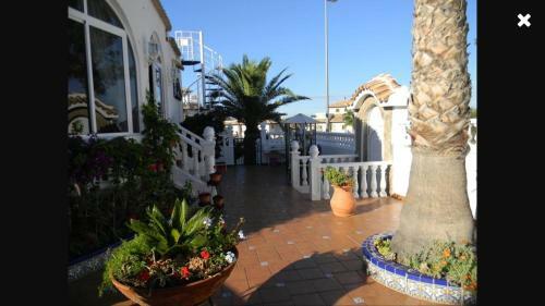Gorgeous Detached Villa Available To Rent