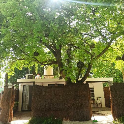 Apartamento Casa Arte Bacalar