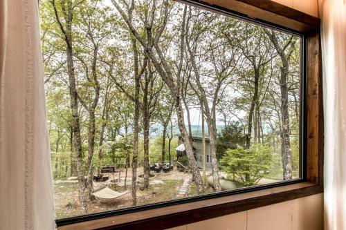 Tree House Cabin - The Original
