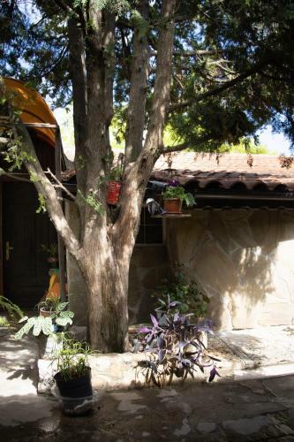Hostal ??????? ??k???? The Old Grocery, Guest Rooms
