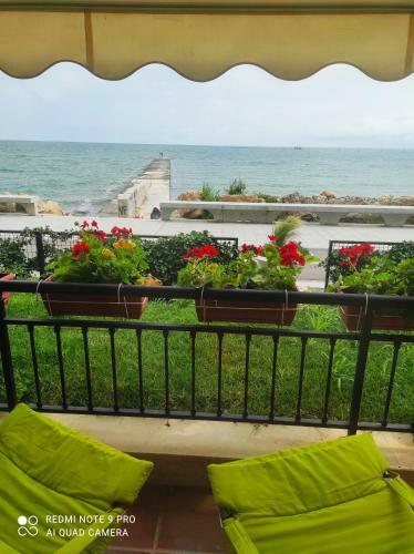 Apartment Poemia, Complex Carpe Diem
