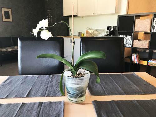 Miramar Balchik Apartment 8