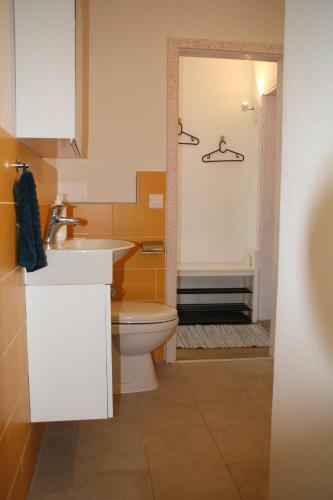 Apartamento Airolo With Private Parking