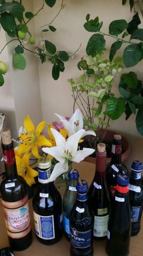 Hostal Verishen Guest House B&B