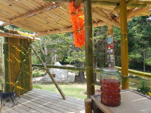 The Luxury Honolulu With Private Bar At Paradise Valley Glamping