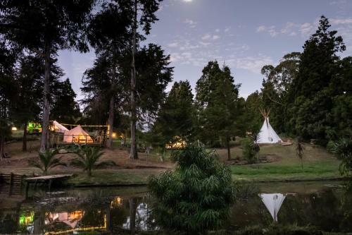 The Primrose At Paradise Valley Glamping